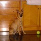 con 1 añiko y 4 meses o x aii jeje